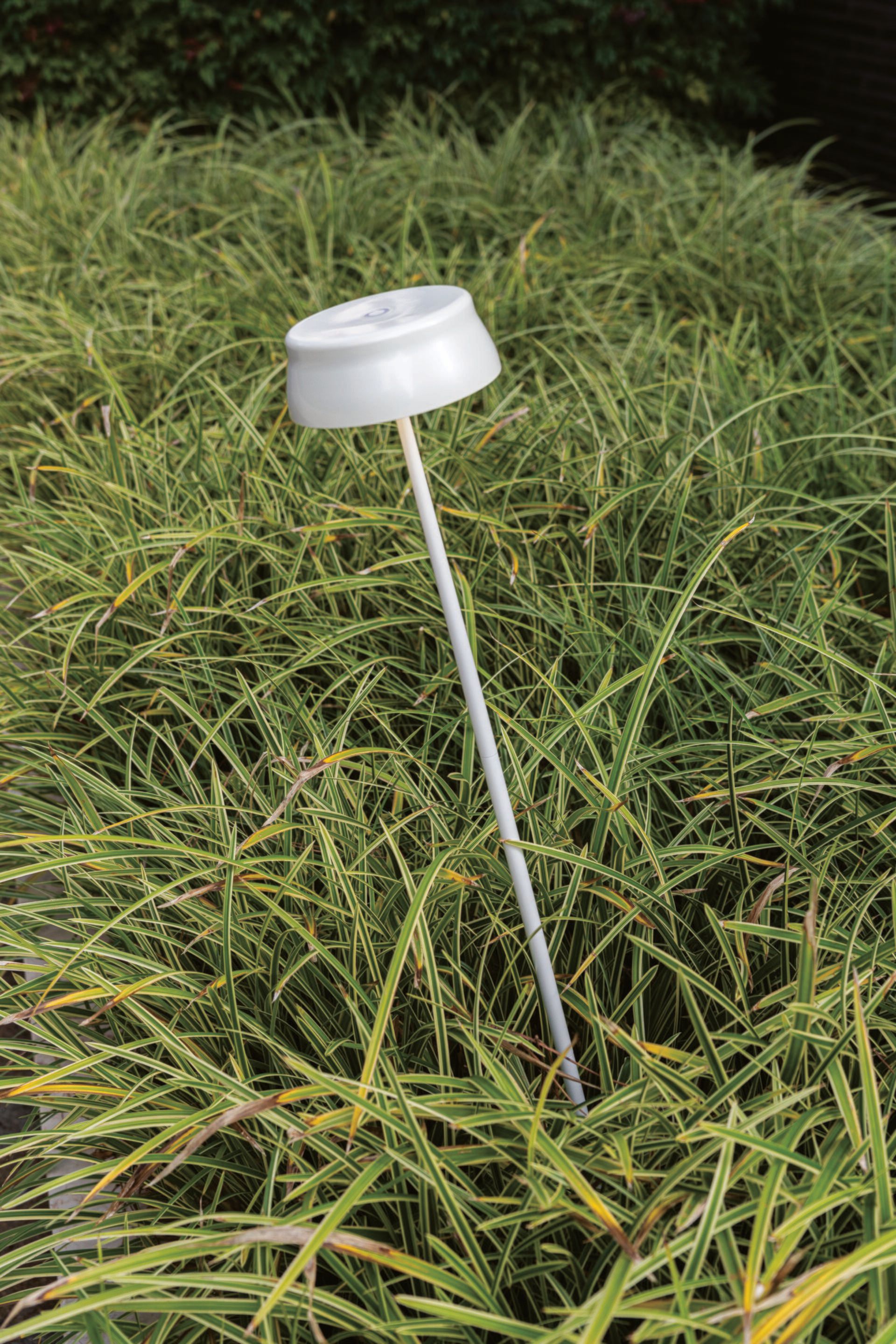 Перезаряжаемый торшер Zafferano Sister Light Wi-Fi ARCH-00066801 - Вид №10