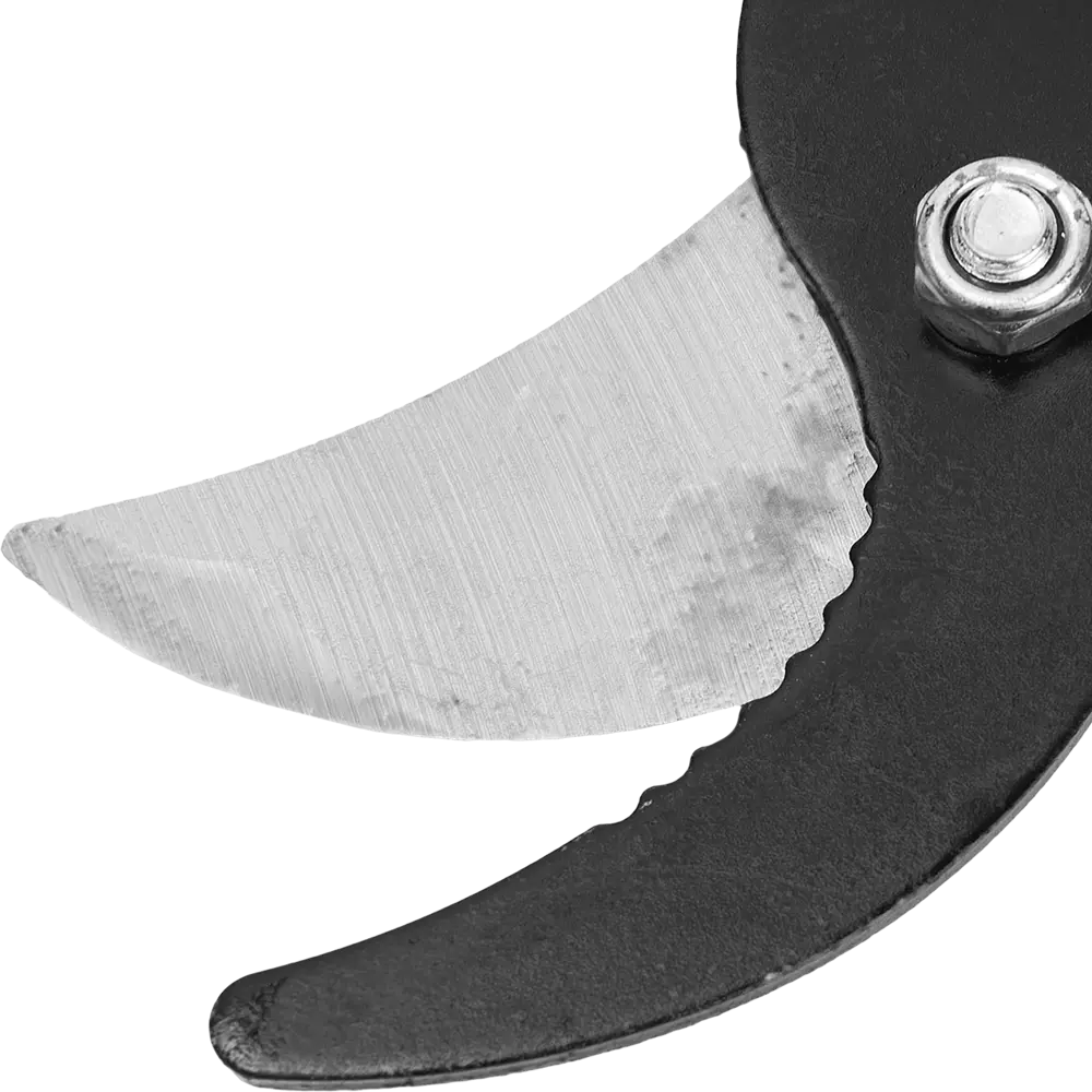 Сучкорез Santreyd Mini Orange для точной обрезки кустов 85294543 STLM-0060915 - Вид №2