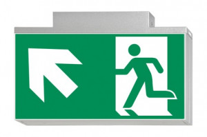 DST-796 Lisu ceiling-mounted Daisalux Светильники аварийные Серебристо-Серый