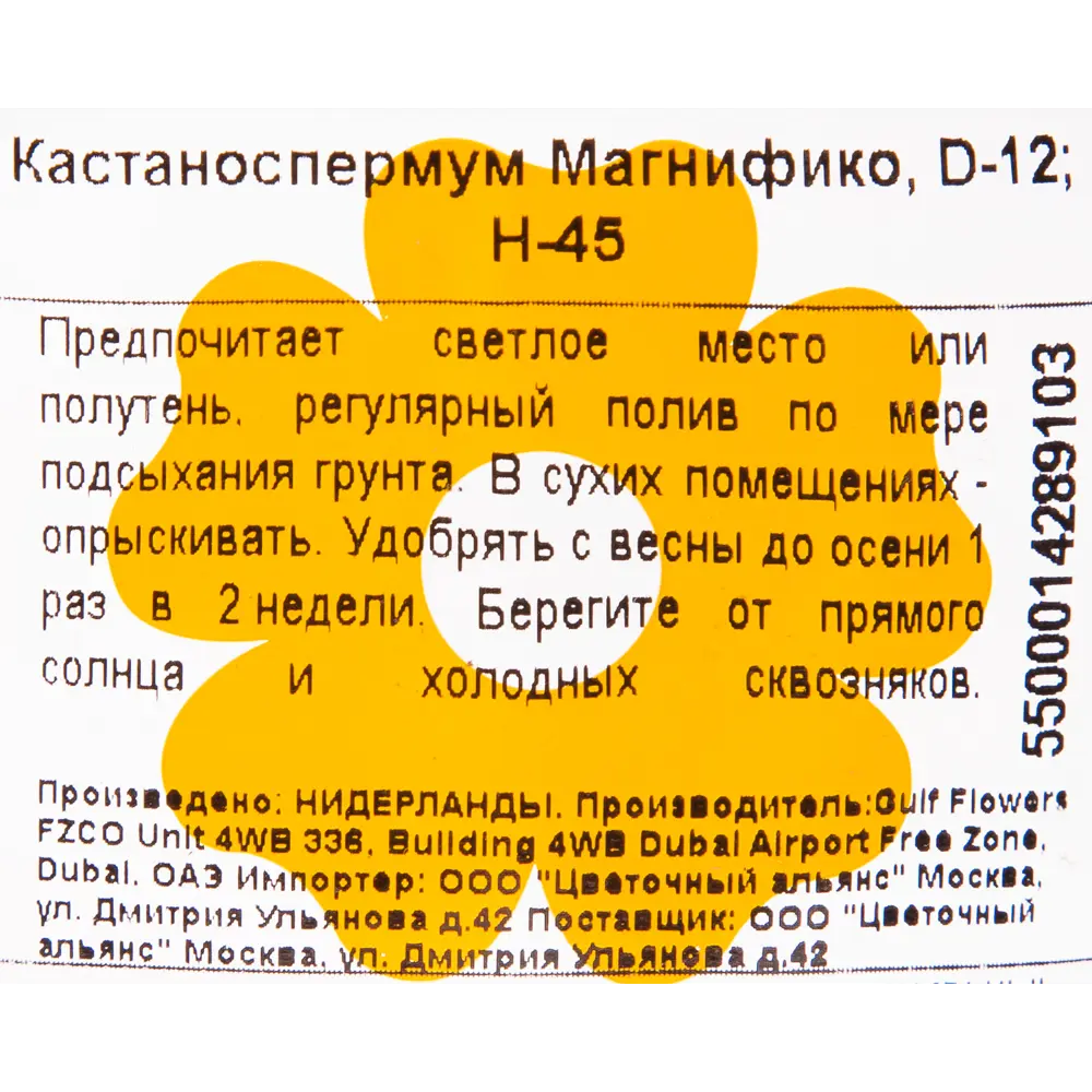 Кастаноспермум Магнифико 12x45 см 82877353 STLM-2066955 Santreyd  - Вид №2