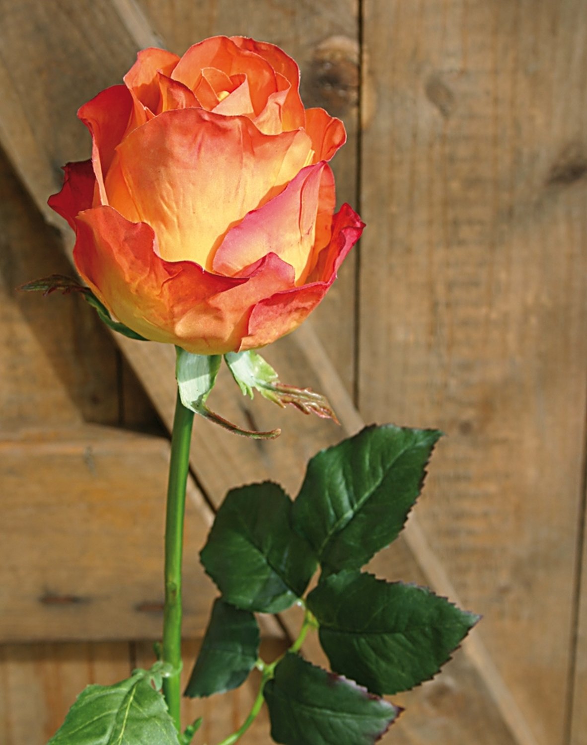 3257 334 a3 Шелковые бутоны роз Equador, 103 см, real touch, оранжевые H-andreas  - Вид №4