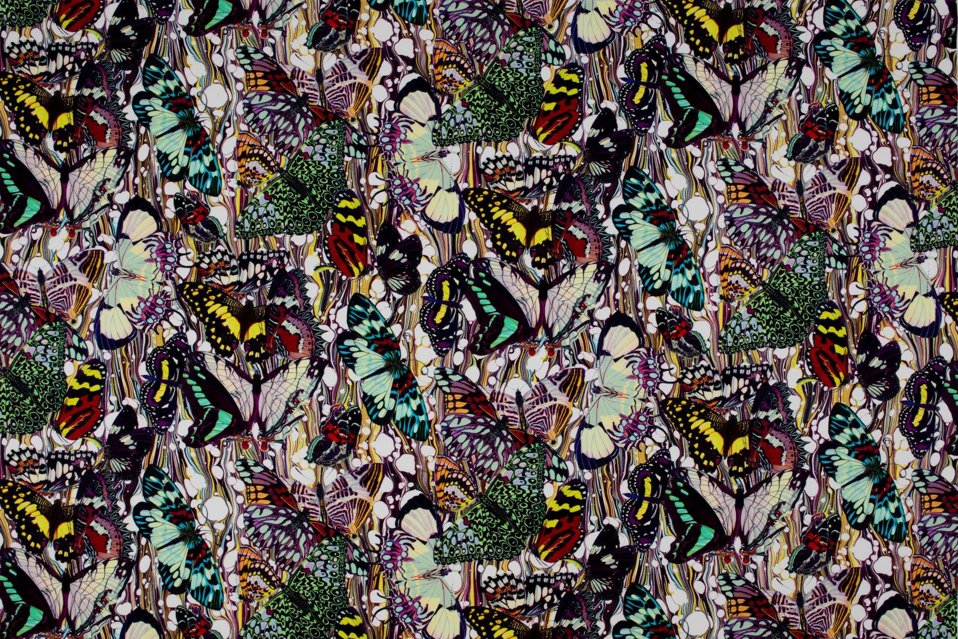 Многоцветная хлопчатобумажная ткань LELIEVRE Jean Paul Gaultier - La Croisière s'amuse ARCH-00144032 - Вид №1