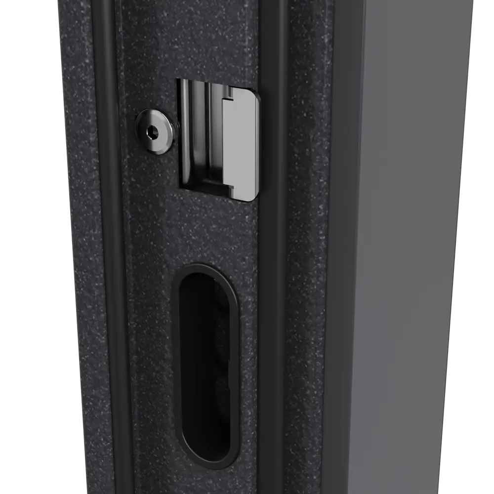 Дверь входная металлическая Гибсон 86x205 см левая скай беленый с зеркалом TOREX STLM-2148186 - Вид №7