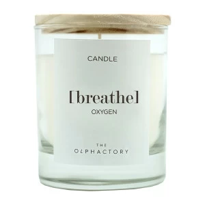 Свеча ароматическая The Olphactory Breathe "Кислород" AMBIENTAIR  00-3894970 Белый