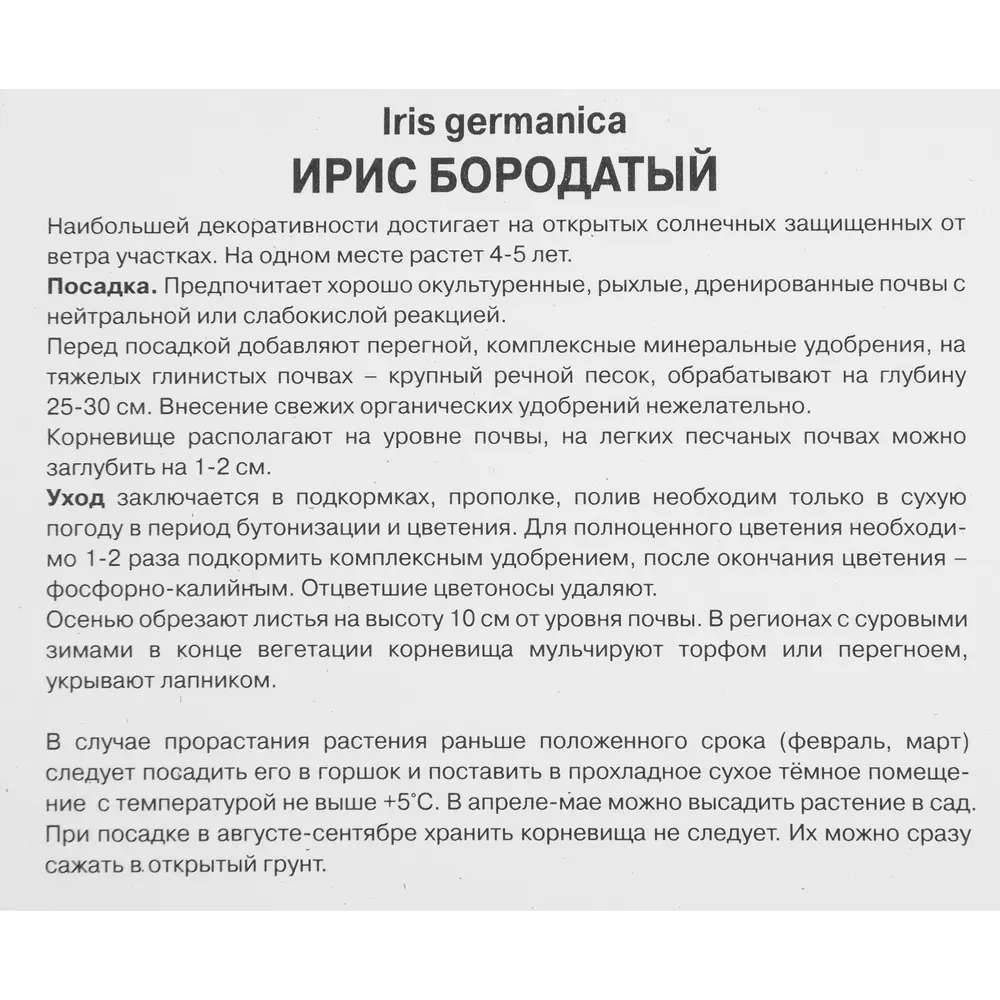 Ирис бородатый Биг Бразер ПОИСК STLM-2108517 - Вид №2