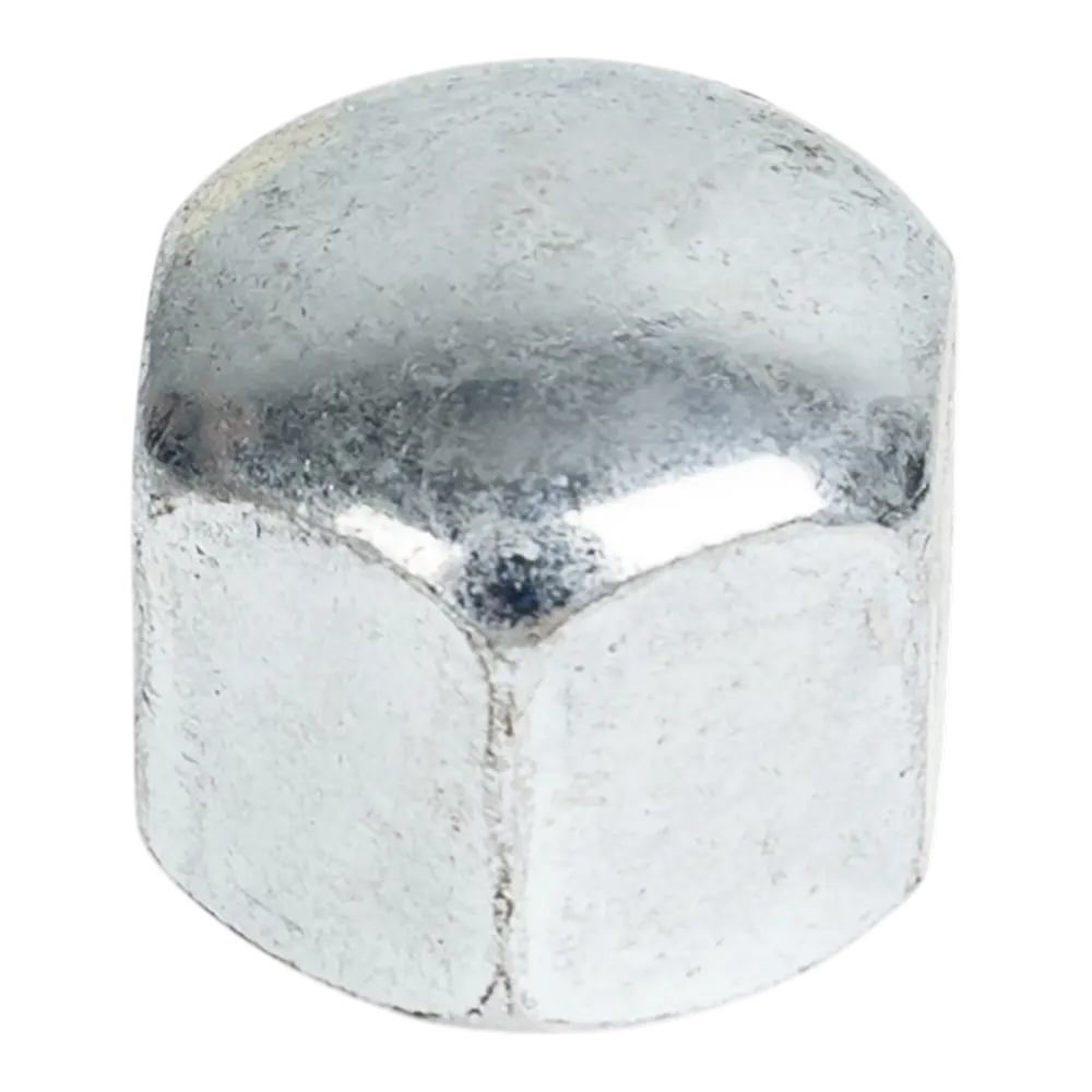 Гайка М6 DIN 917 сталь оцинкованная 30 шт. 89404387 STLM-2052393 Santreyd 