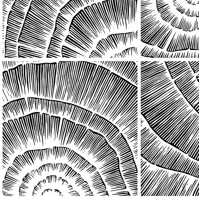 Стеновые панели - Шелл лайт LIGRON LIST95 2184 - Вид №3