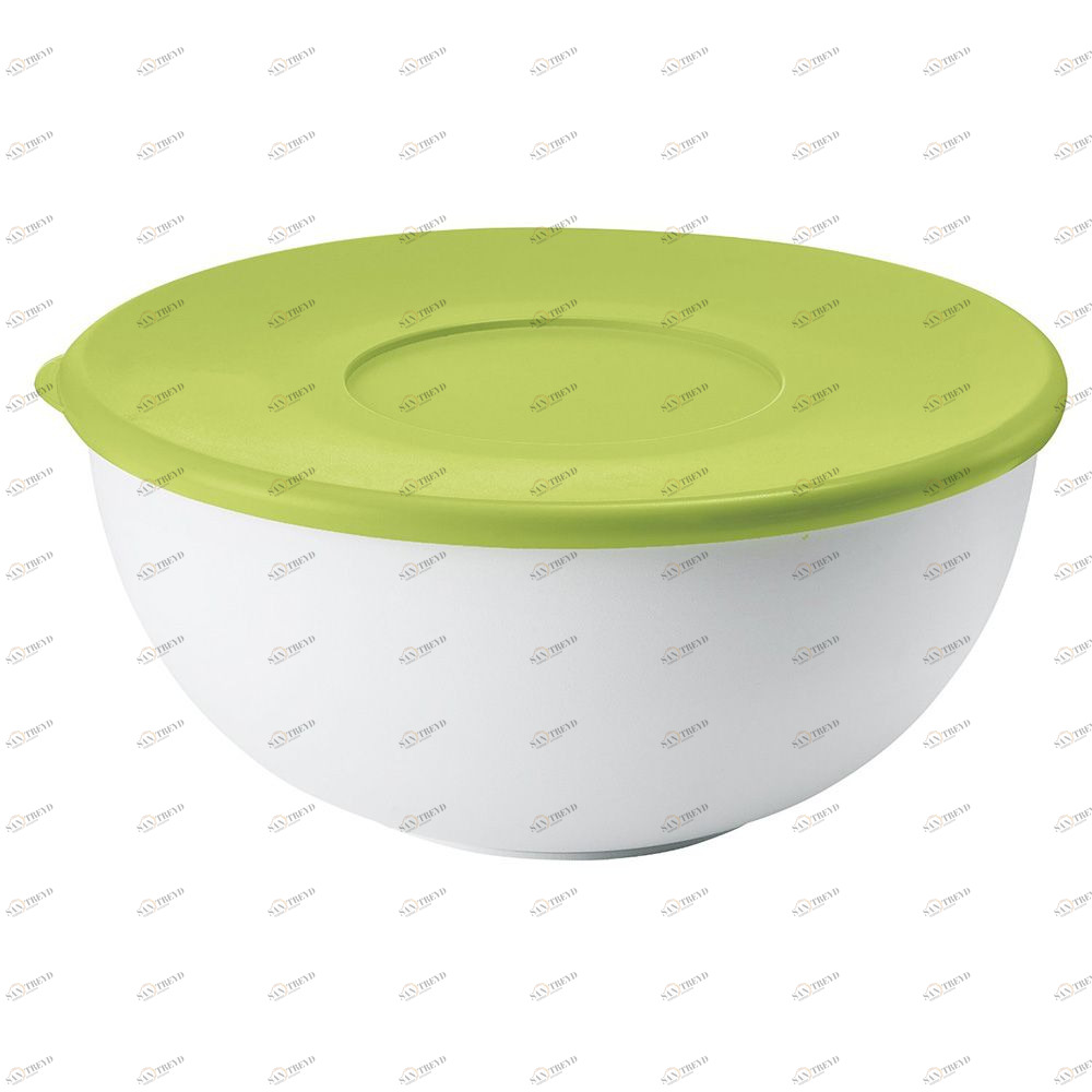 Контейнер 24 см зеленая крышка Guzzini 29262484