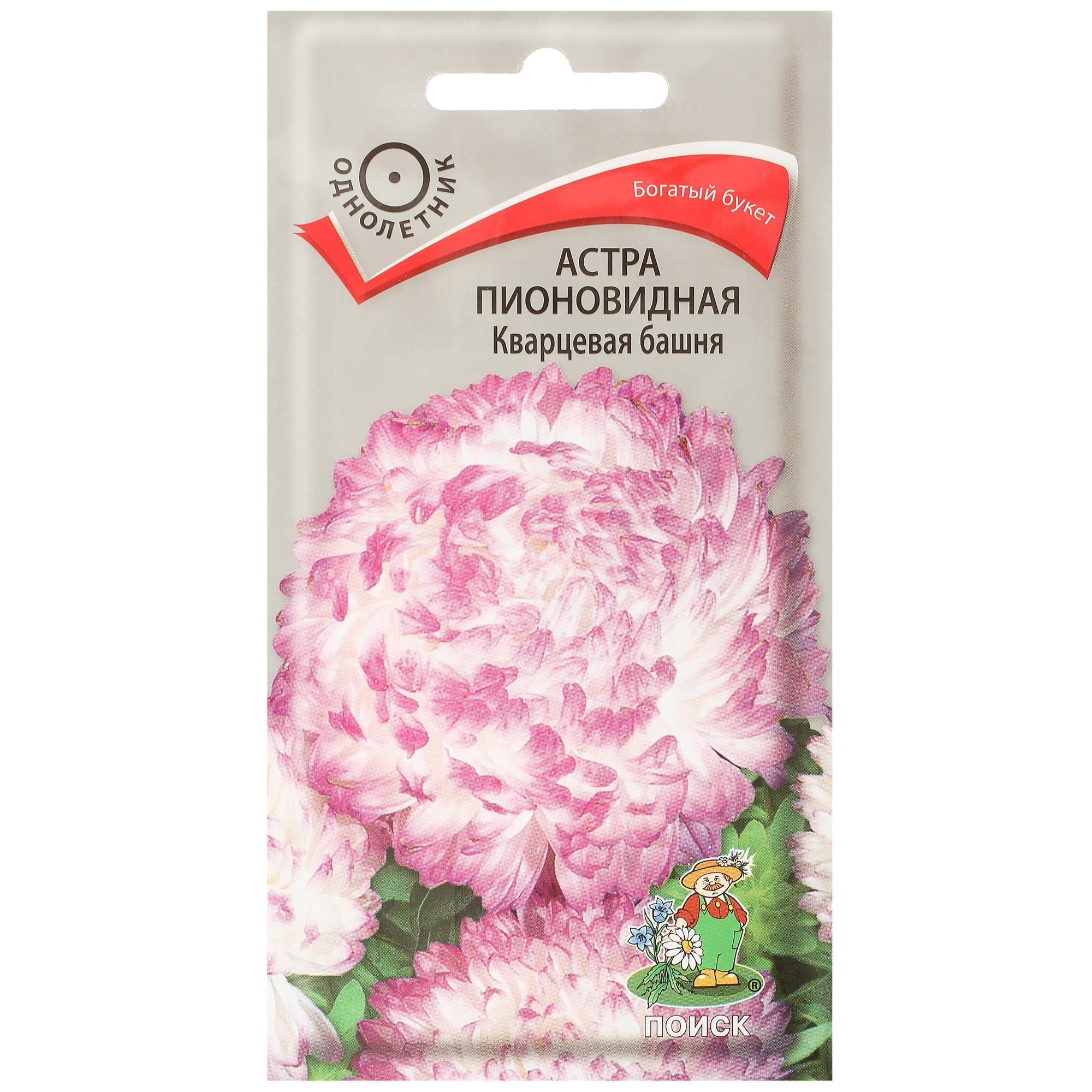 17229506 Астра пионовидная «Кварцевая башня» Santreyd 