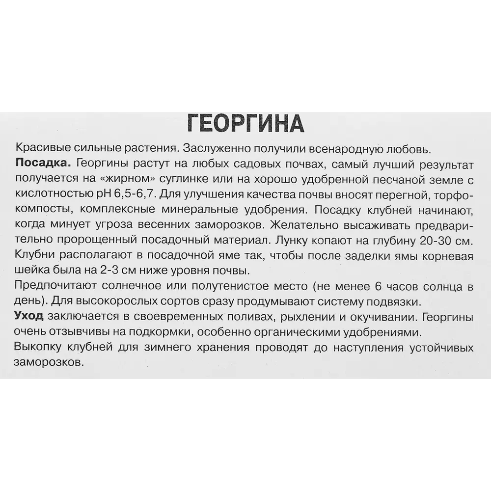 Георгина шаровидная Сильвия 89351773 STLM-2047804 ПОИСК  - Вид №2