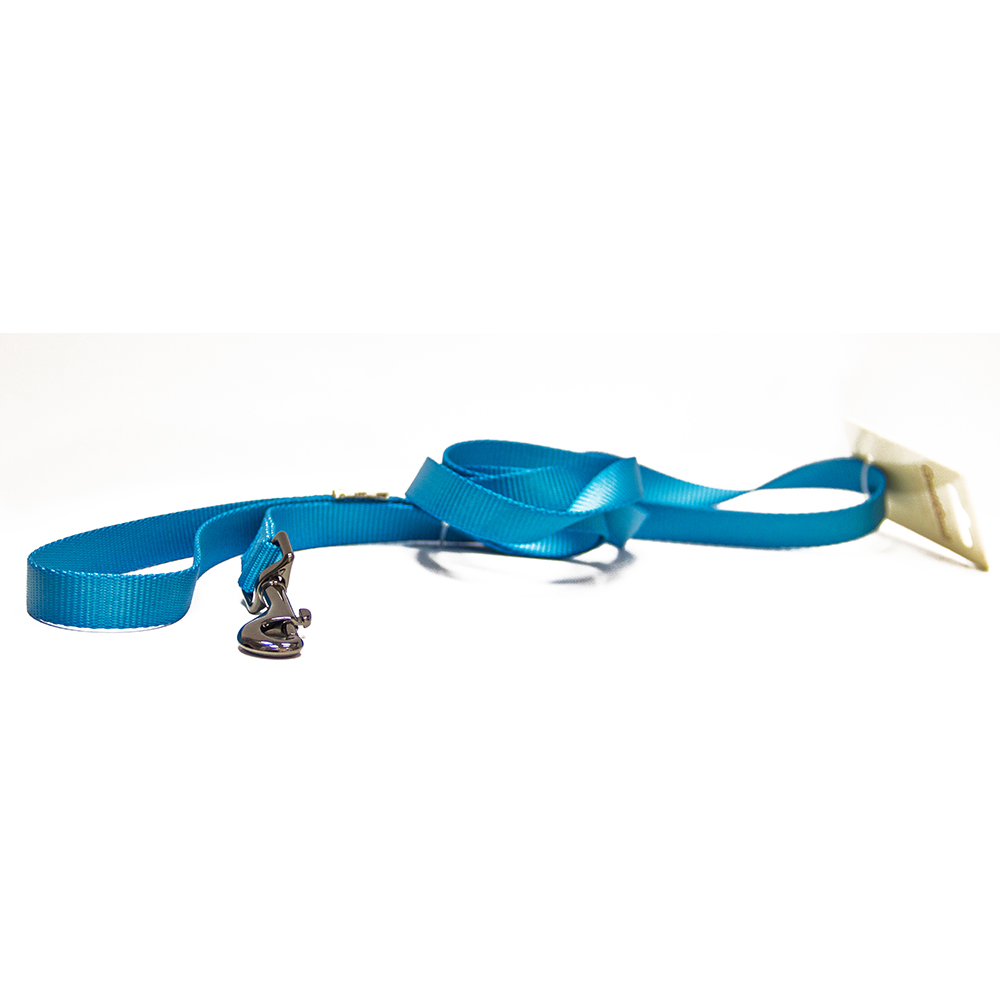ПР0041980 Поводок для собак 10x1200мм нейлон Голубой Great&Small 