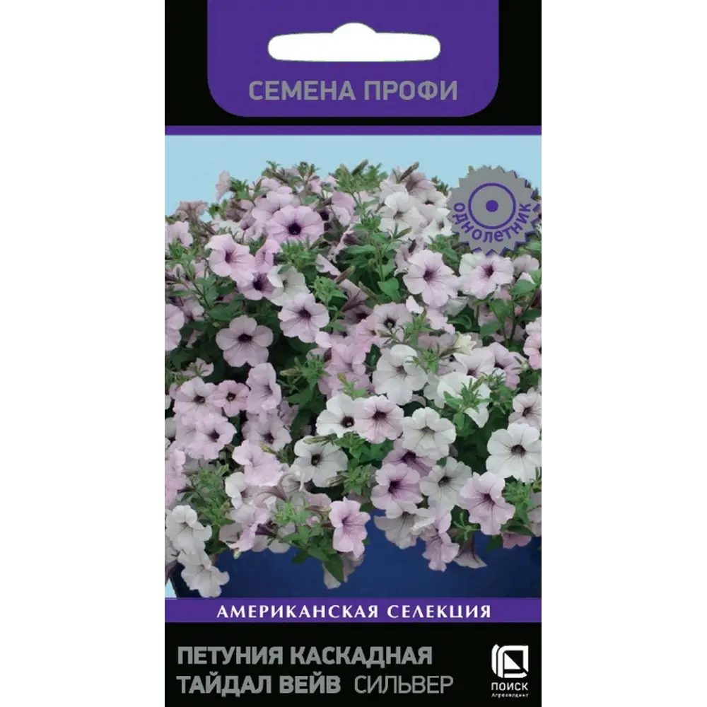 ПОИСК Петуния каскадная Тайдал Вейв Сильвер - лилово-белый водопад цветов 89401258 STLM-1572937