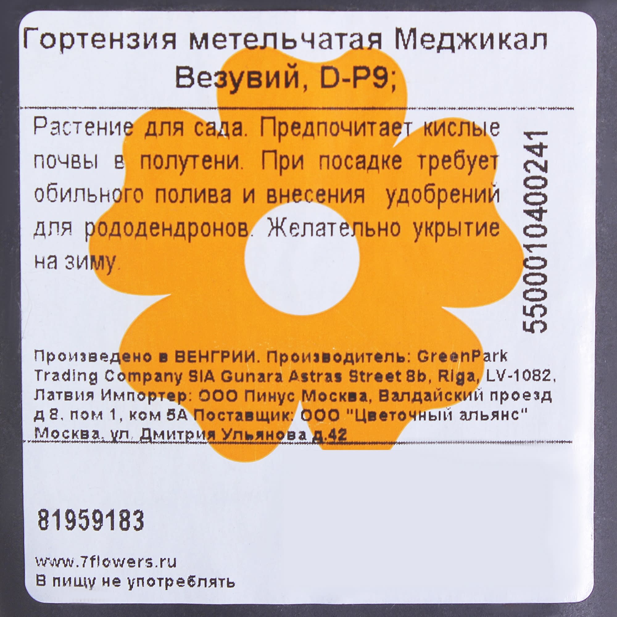 81959183 Гортензия метельчатая «Меджикал Везувий» Р9 Santreyd 