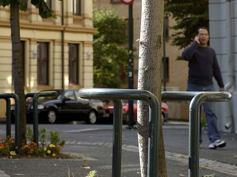 VESTRE Стальная ограждение для деревьев с порошковым покрытием Hvilan sun-id-1501733 - Вид №3