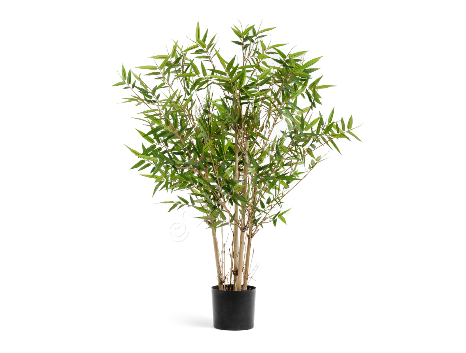 10.34307N Бамбук Японский ориенталь Цветочная коллекция  - Вид №1