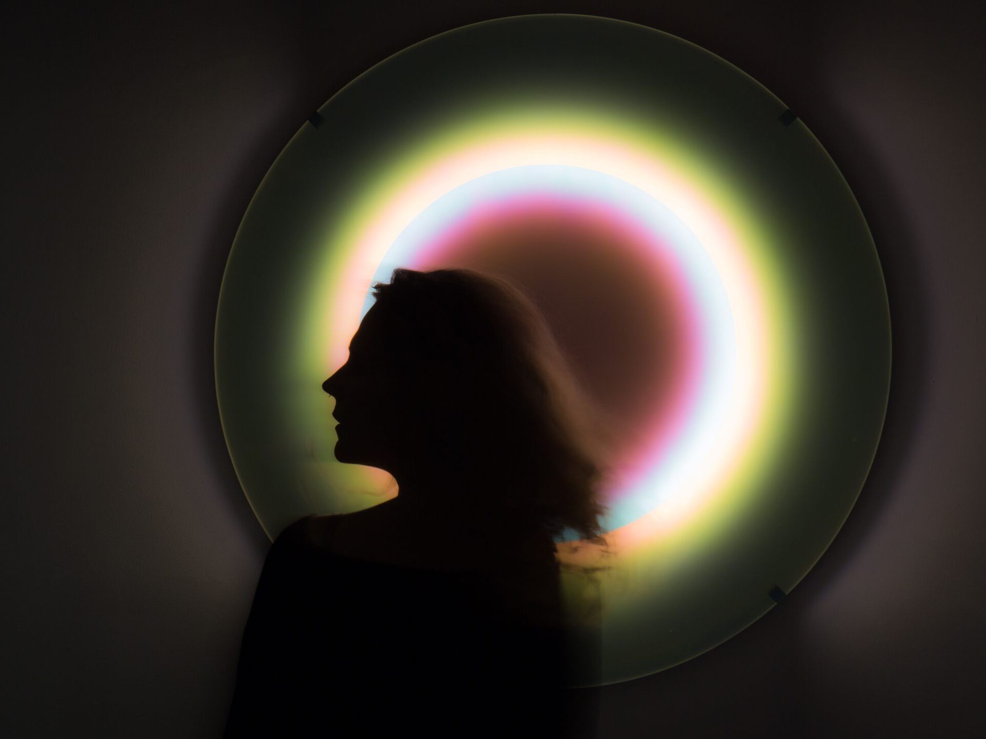 Светодиодный настенный светильник с регулируемой яркостью LO Contemporary Onnda ARCH-00018651