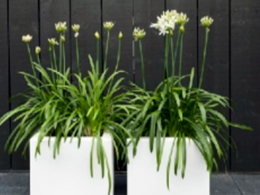 Кашпо коллекции "Ардена" АD-01-47 100/100/60 ГеоПластБорд GPBST-62 - Вид №4