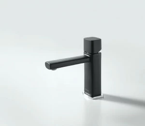 Смеситель для умывальника (черный) RAEL F199153BLK bravat