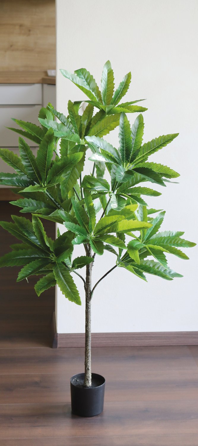 5480 883 a3 Искусственная шефлера, горшок, 100 см, зеленый H-andreas  - Вид №3