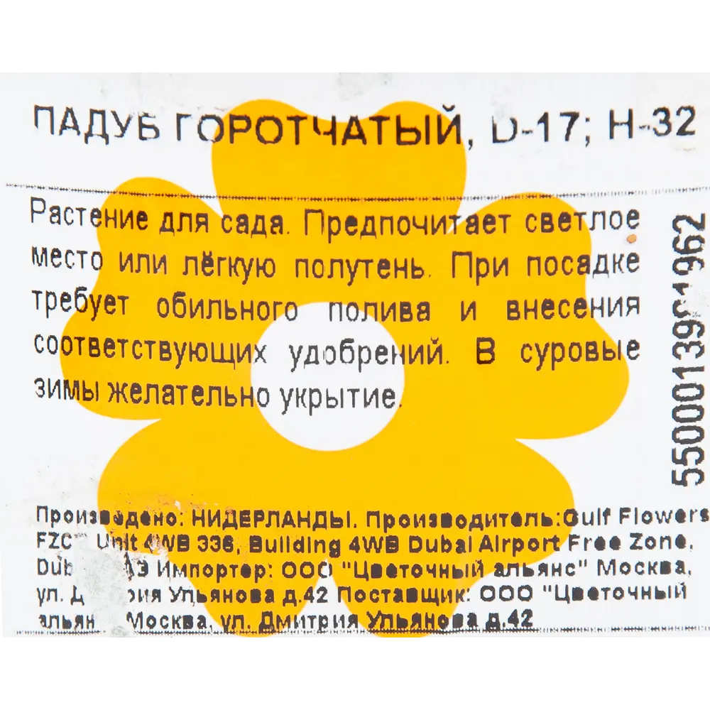 Падуб горотчатый 17x32 см 82853825 STLM-2194547 Santreyd  - Вид №1