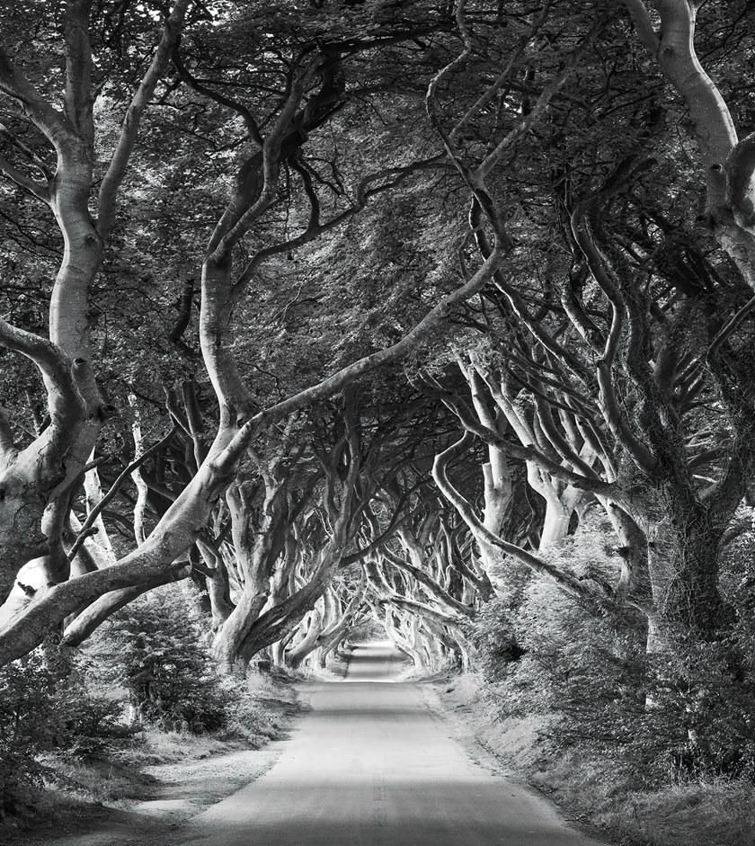 Komar Флизелиновые обои с пейзажами Wanderlust Shx5-033 - Вид №2