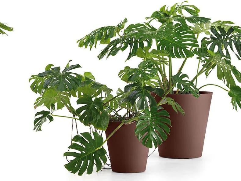 Круглый полиэтиленовый садовый горшок Lyxo Design LOTO ARCH-00103998