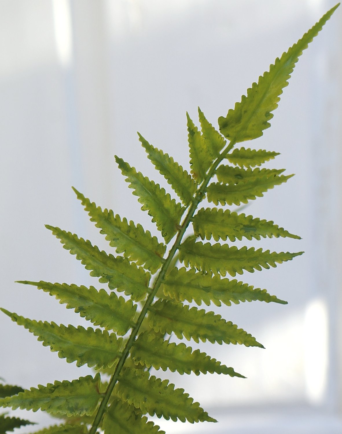 4917 883 a3 Имитация куста папоротника, 44 см, зеленая H-andreas  - Вид №2