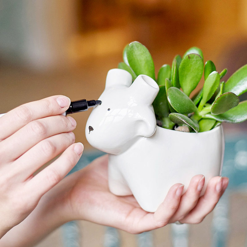 Набор для выращивания Eco Овечка ЭКОЧЕЛОВЕКИ 3003 - Вид №3