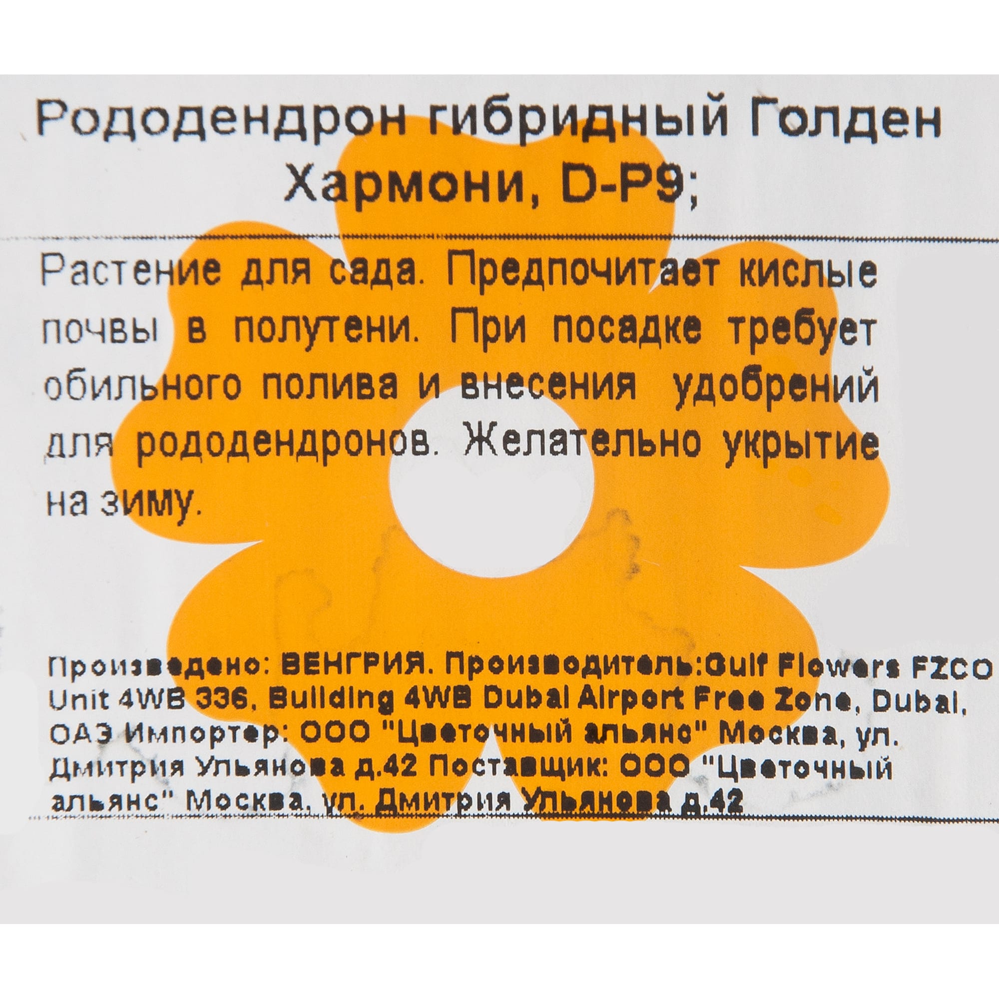 82601869 Рододендрон гибридный «Голден Хармони» 9x20 см Santreyd  - Вид №1
