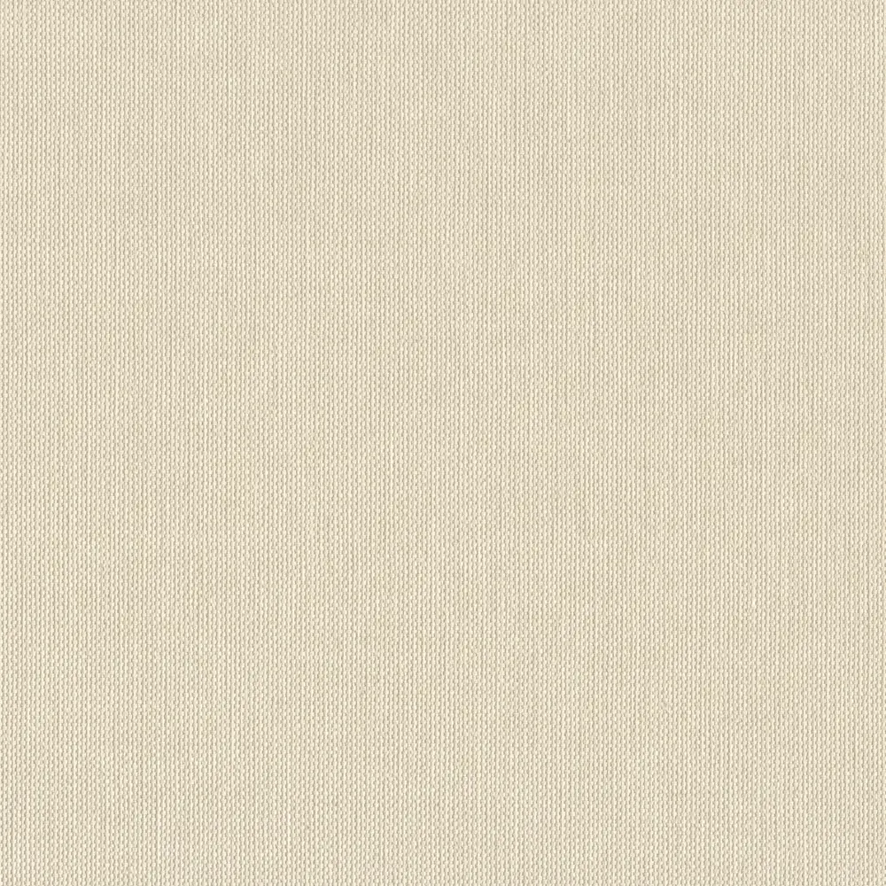 Обои флизелиновые Rasch Tendencia бежевые 1.06 м RA960778 STLM-2112839 - Вид №1