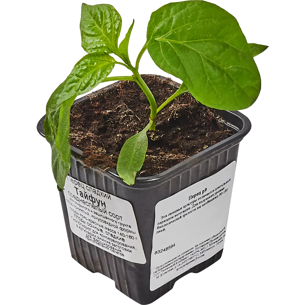 Рассада Перец ø9 h15 см Santreyd STLM-2010858