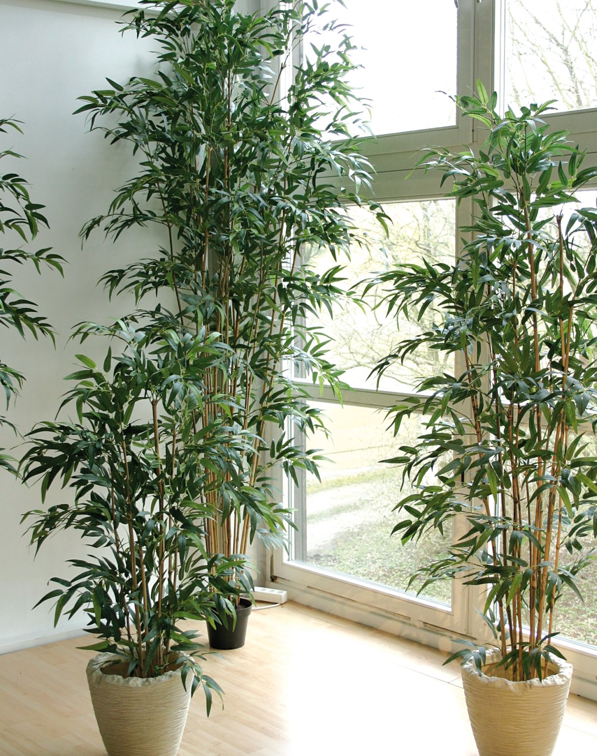 5742 883 a3 Бамбук искусственный, в горшке, 1300 листьев, 180 см, зеленый H-andreas 