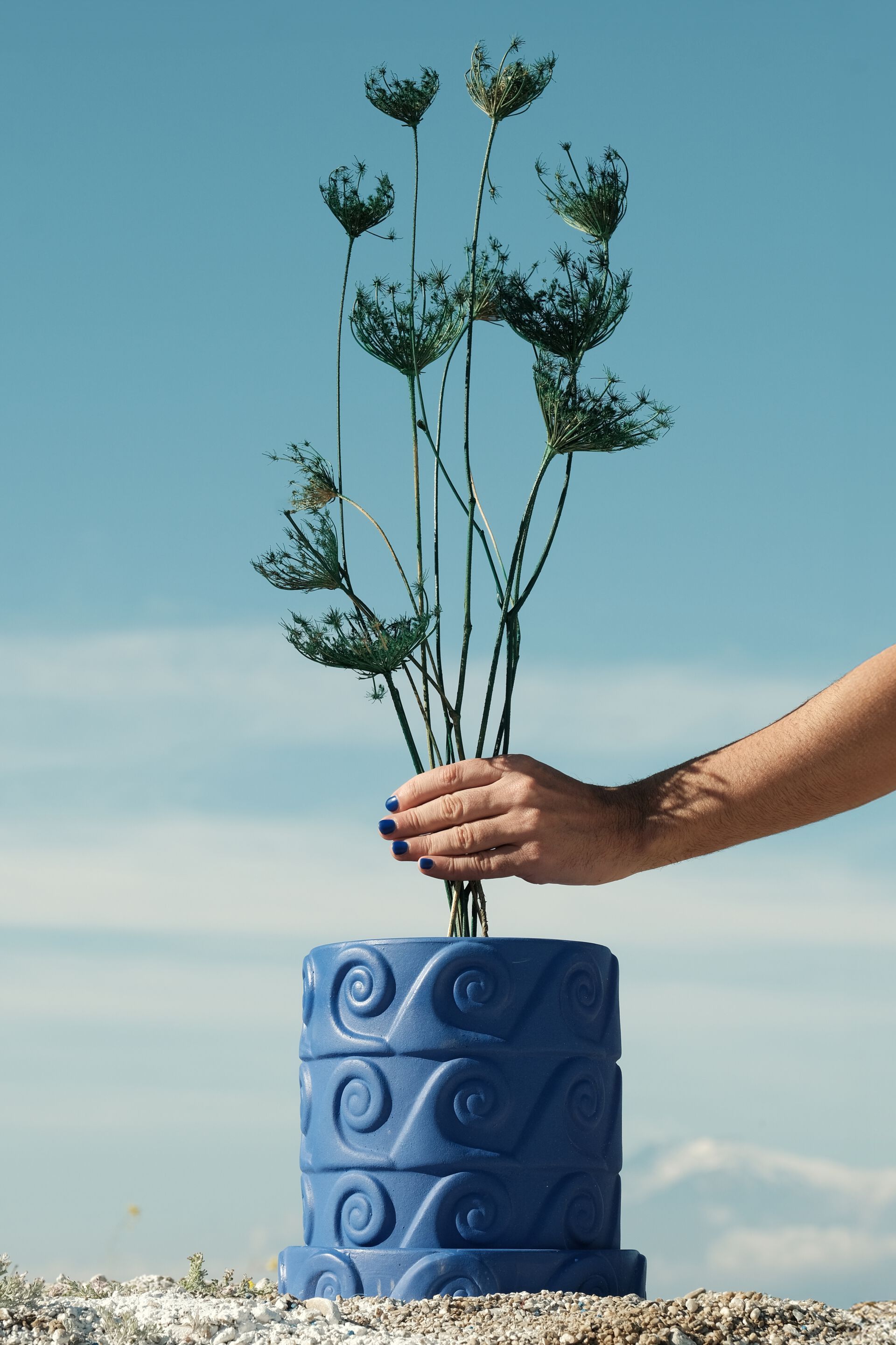 Терракотовый горшок Seletti Magna Graecia Cobalt ARCH-00035982 - Вид №6