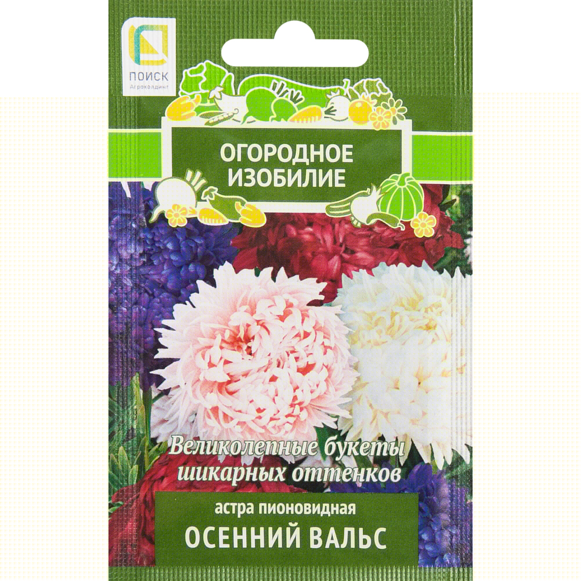 18358801 Астра пионовидная «Осенний вальс» Santreyd 