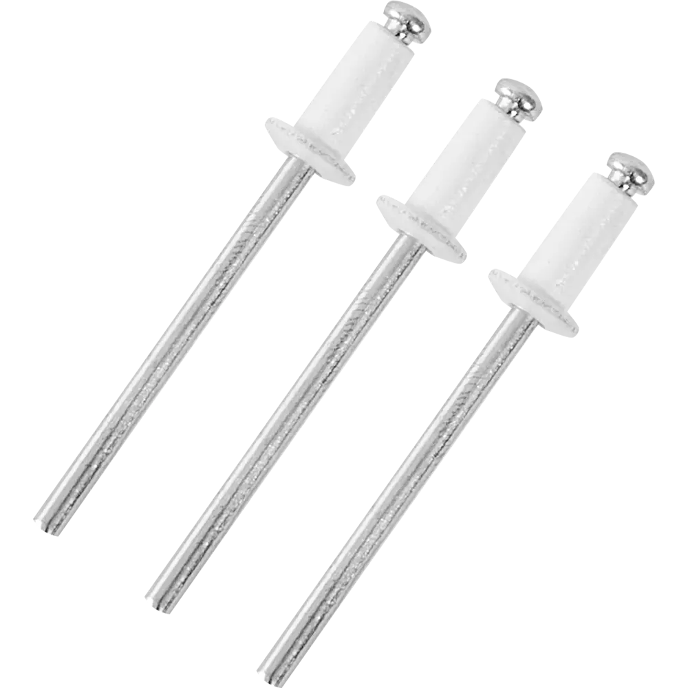 Заклепка RAL9003 белая 3.2x8 мм, 50 шт Santreyd STLM-2017006