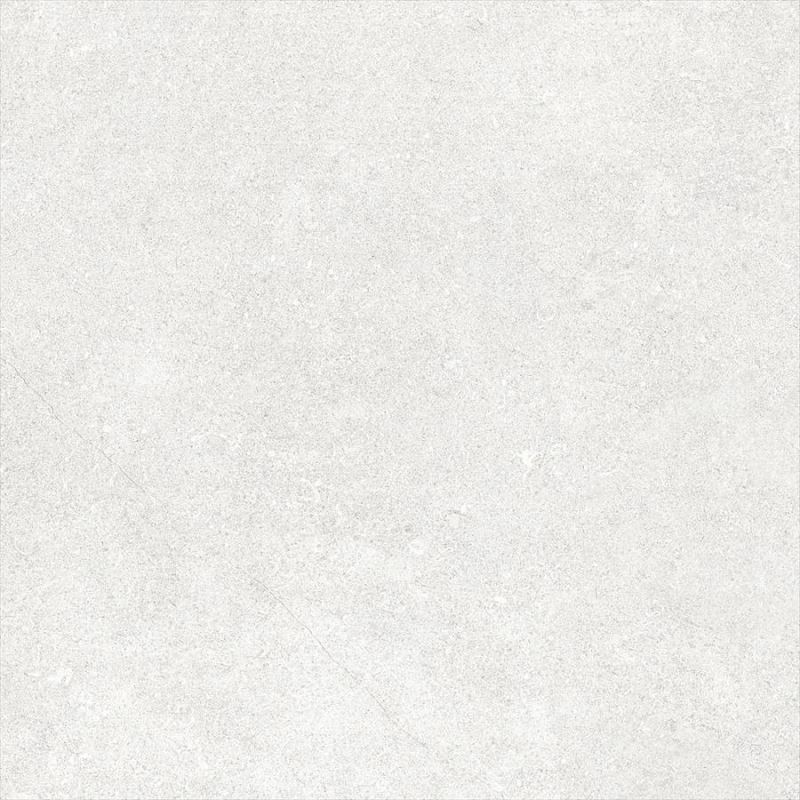 K94576500001VTE0  Vitraglobal Newcon 