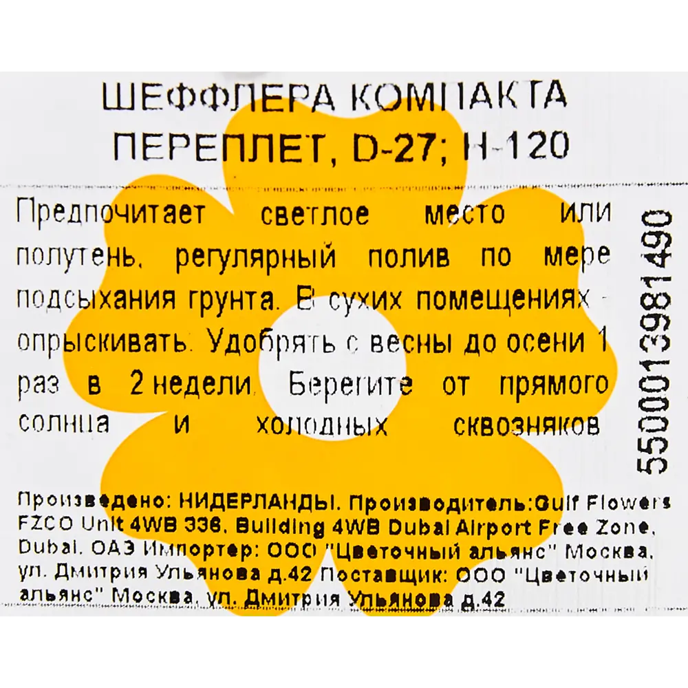 Шеффлера компакта переплетённая 27x120 см 82850391 STLM-2027877 Santreyd  - Вид №2
