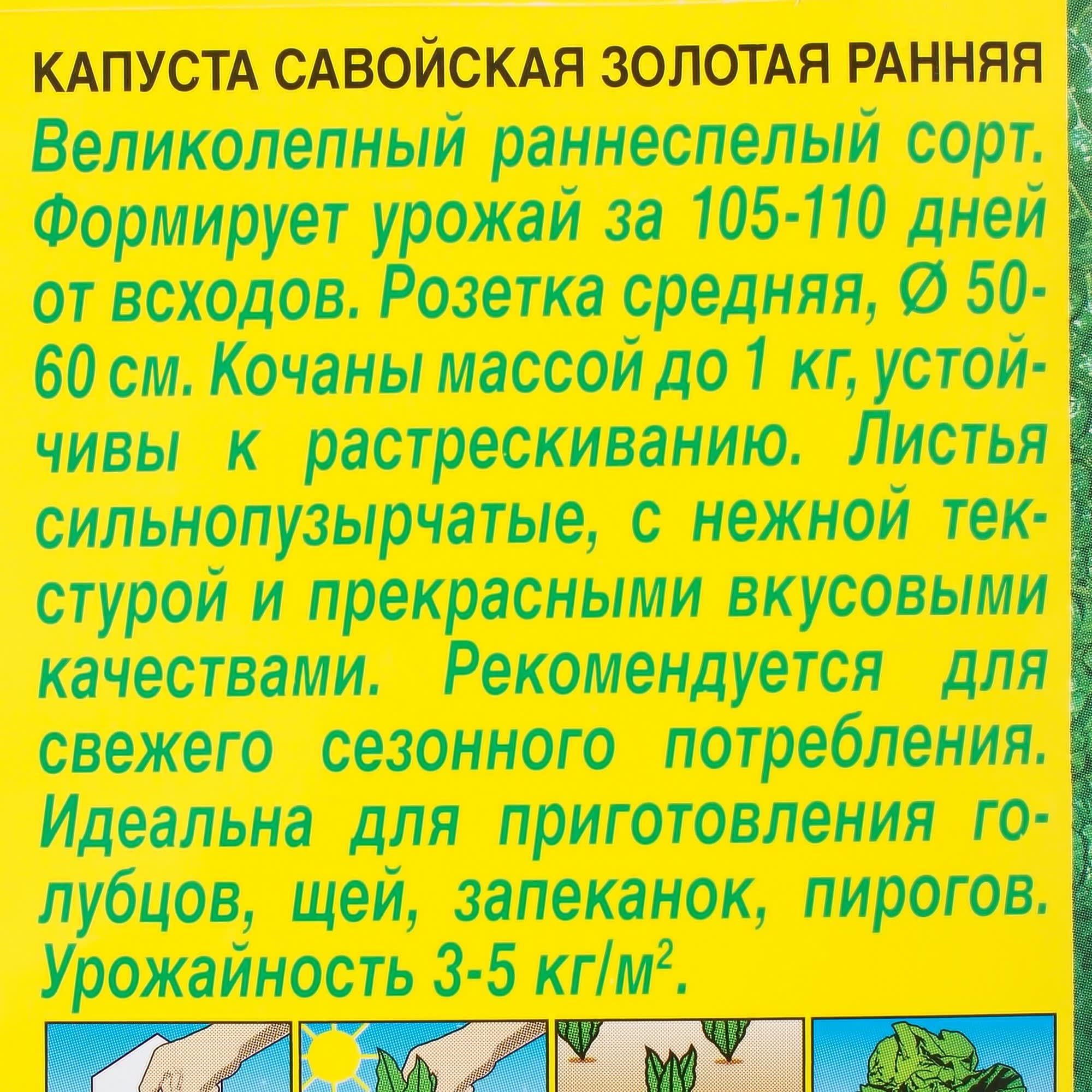 17251156 Семена Капуста савойская «Золотая ранняя» Santreyd  - Вид №2