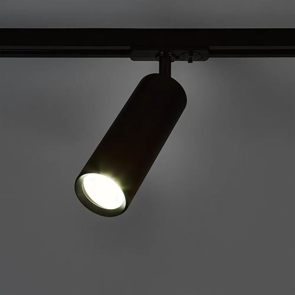 Arte Lamp Beid - трековый светильник с поворотным плафоном 87493354 STLM-0074139 - Вид №2