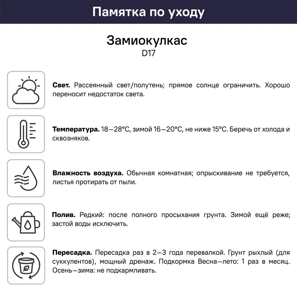 Замиокулькас ø17 h65 см 89409564 STLM-2039463 Santreyd  - Вид №5