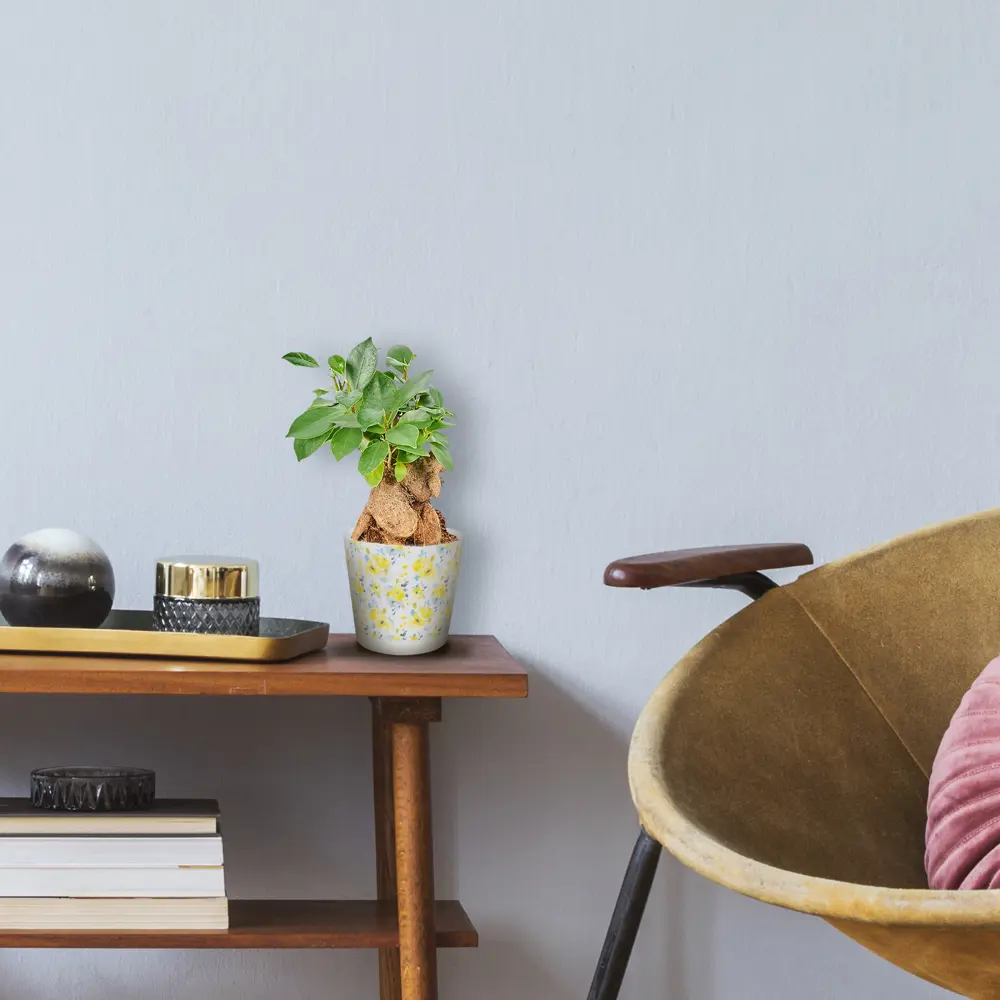 Горшок цветочный Ingreen Easy Grow ø12 h11 см v0.75 л пластик акварель Фиджи декор STLM-2191978 - Вид №2