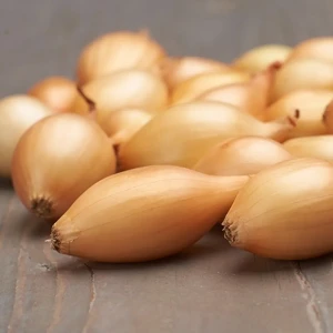 Лук-севок Шекспир (озимый) 900 г