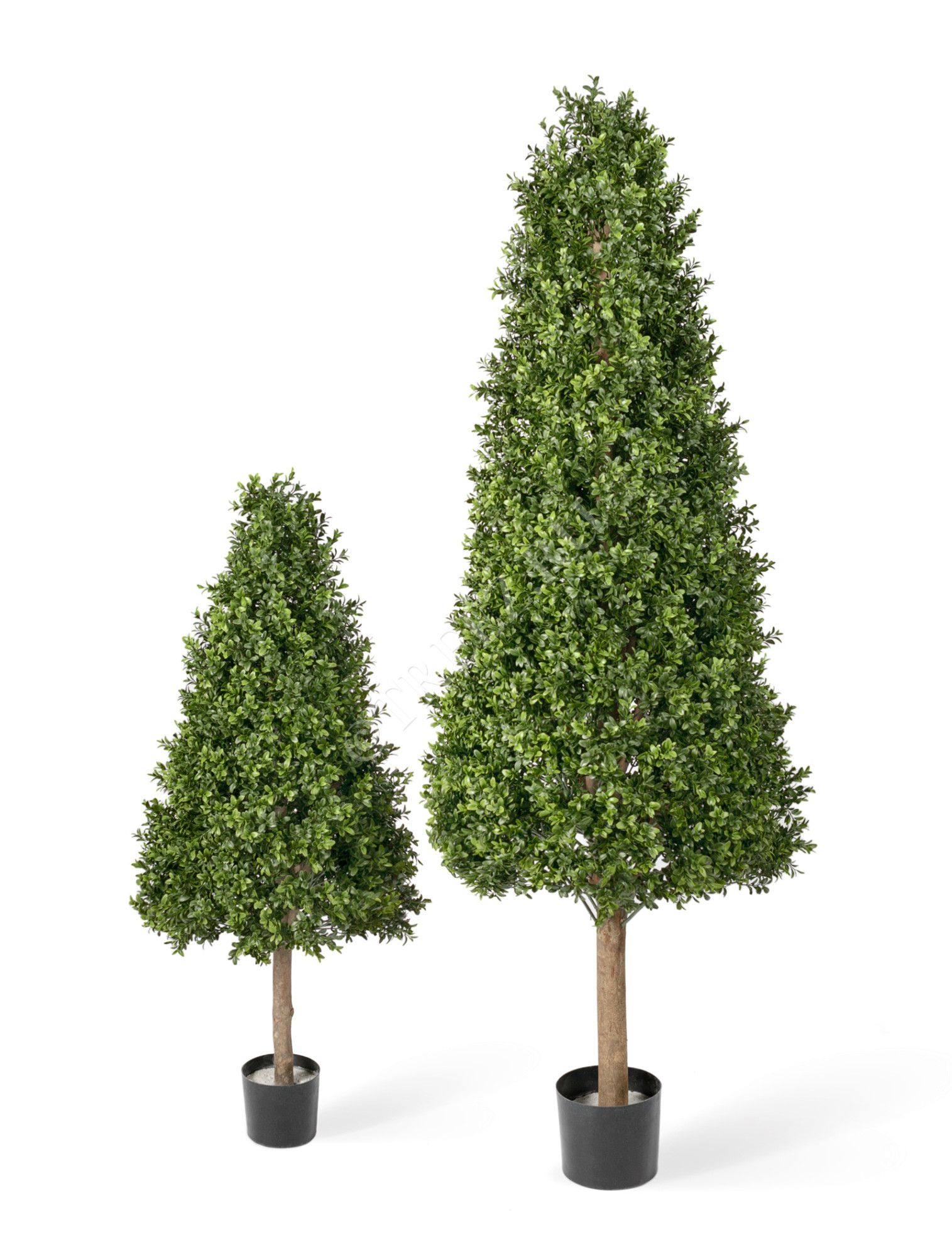 10.44105N Самшиты Тауэр уличные новые Цветочная коллекция 