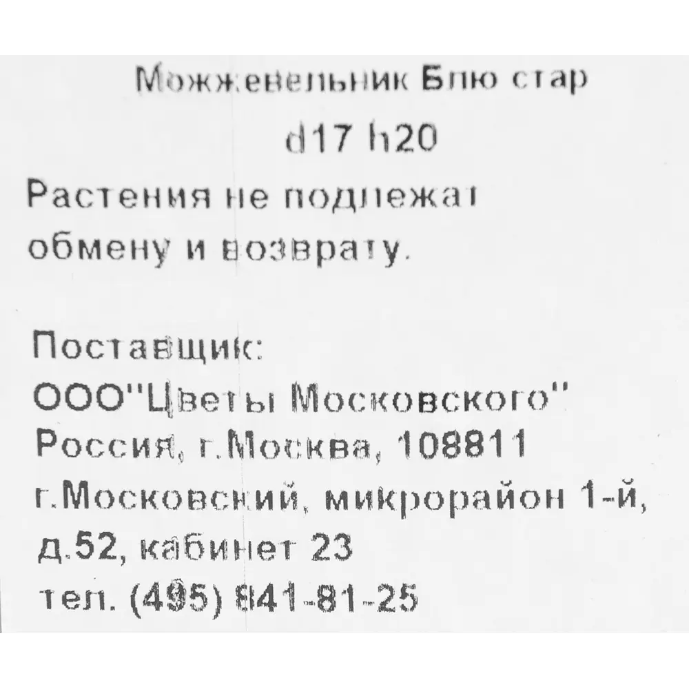 Можжевельник «Блю стар»13x15 см 82621053 STLM-2126314 Santreyd  - Вид №1