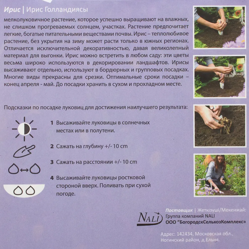 Ирис «Пёпл Сенсейшн» 6/7 (P.SENSATION) Santreyd STLM-2155025 - Вид №1
