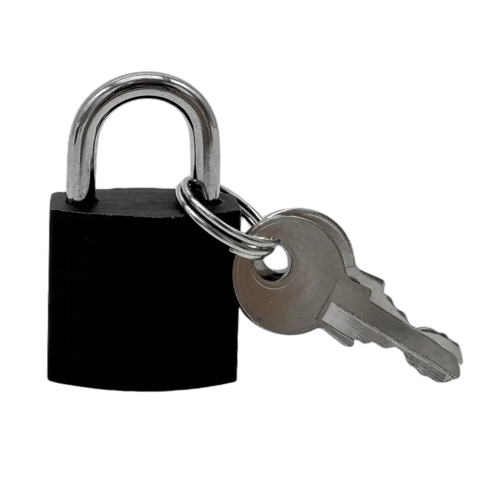 Замок внутренний DILWIS 24x25 мм чугун STLM-2143948