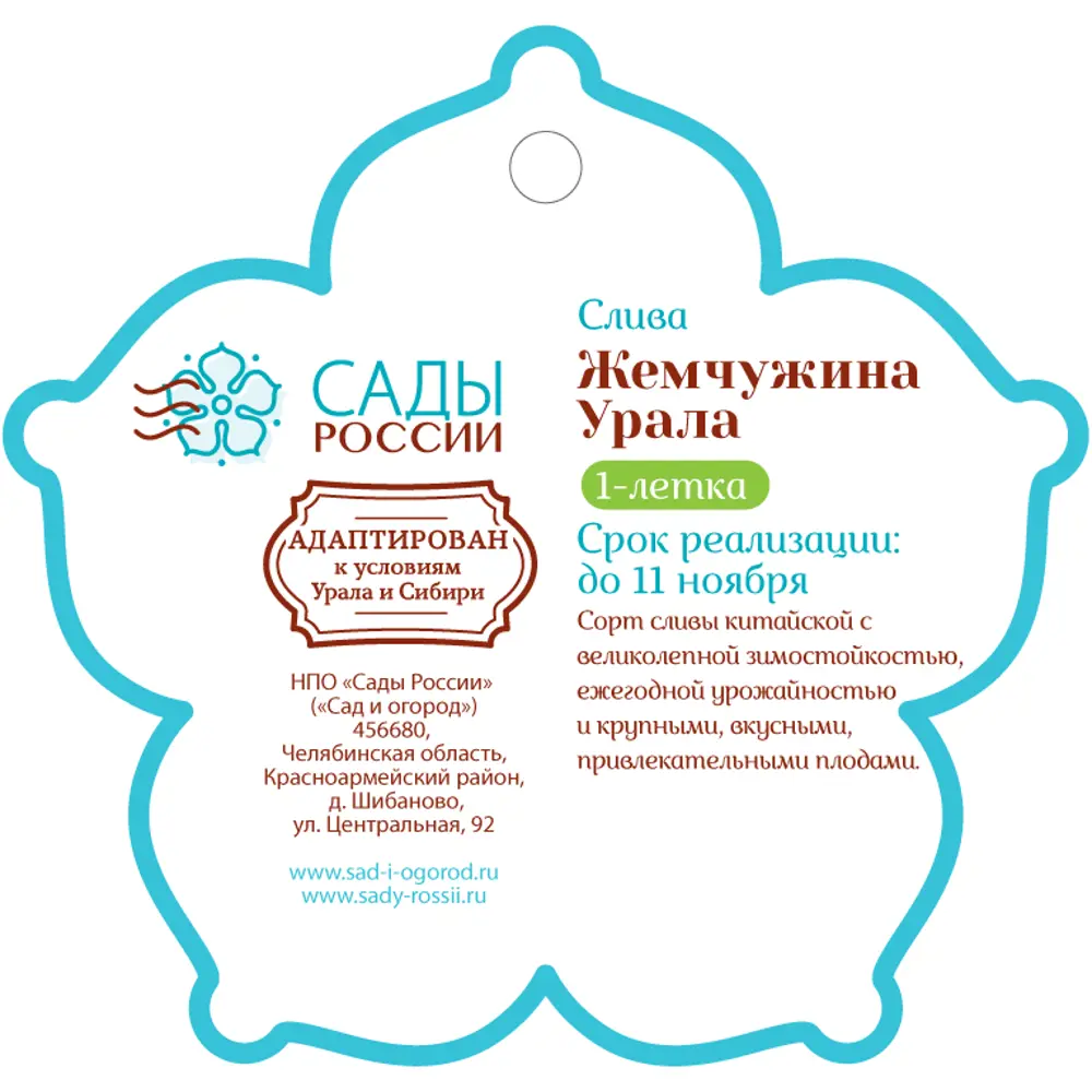 Слива «Жемчужина Урала» 1 год 12.5x30-50 см 82610449 STLM-2206525 Santreyd  - Вид №1