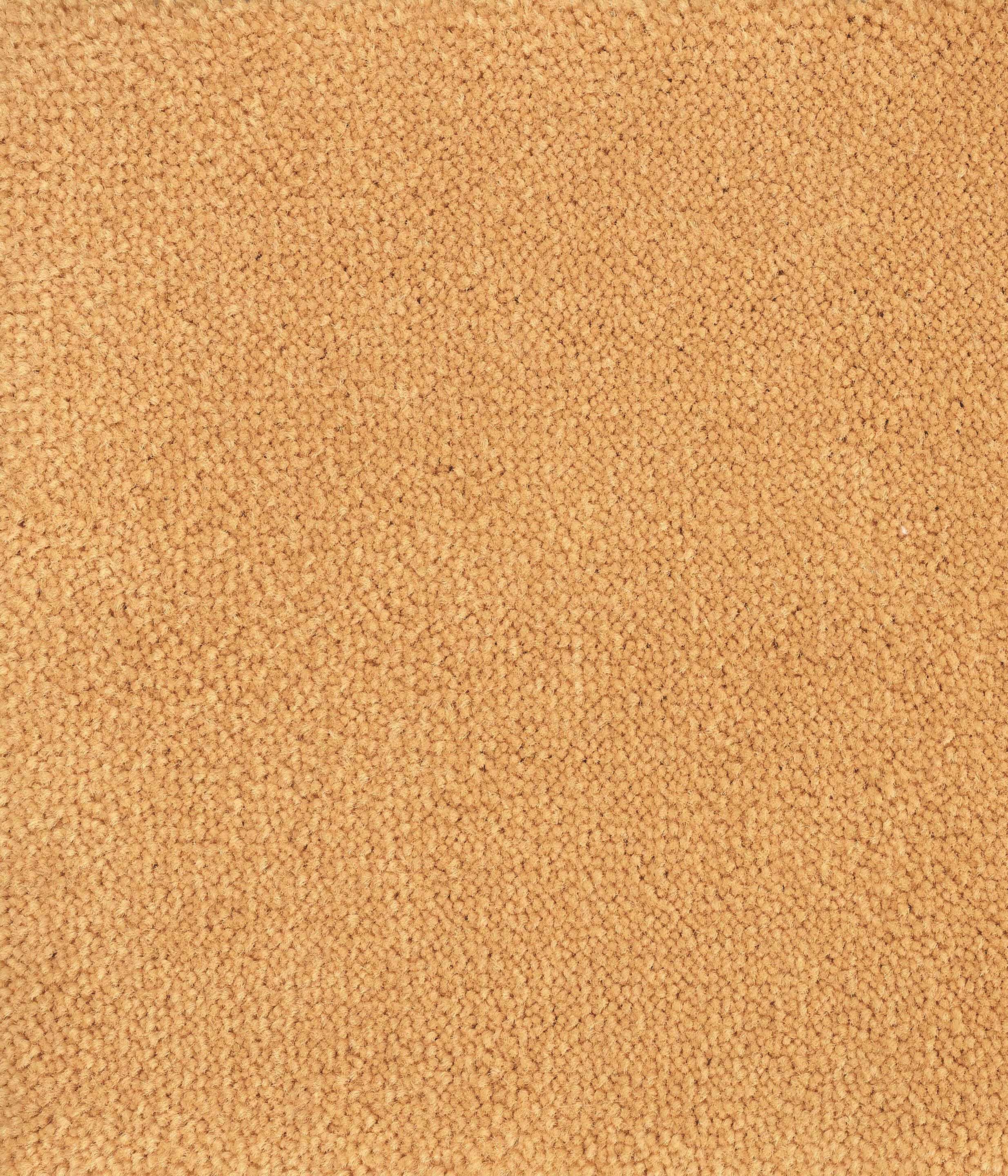 Перерабатываемый нейлоновый ковер Radici BLOOM ARCH-00060856 - Вид №5