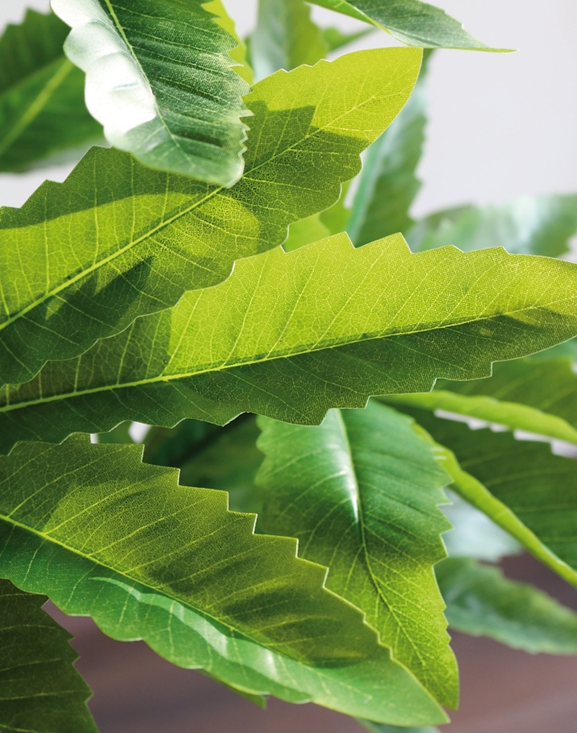 5480 883 a3 Искусственная шефлера, горшок, 100 см, зеленый H-andreas  - Вид №2