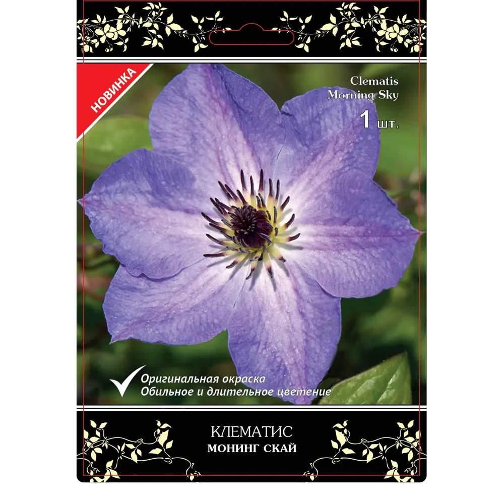 Клематис Монинг Скай Люкс ø12 h17 см 83738692 STLM-2004600 Santreyd 